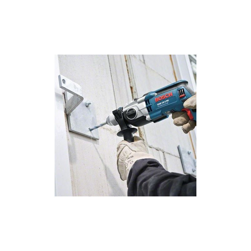 Perceuse à percussion Bosch 19-2 RE Professional