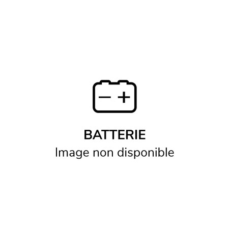 Accus  AFL 30 T laser Metland / Geo-Fennel