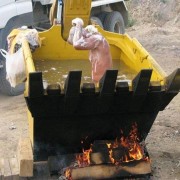 C'est lundi on sort du bain !